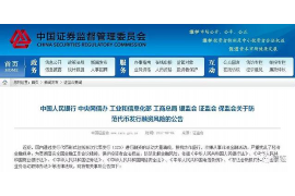 逾期催收案例分析：揭秘金融行业的风险与应对策略